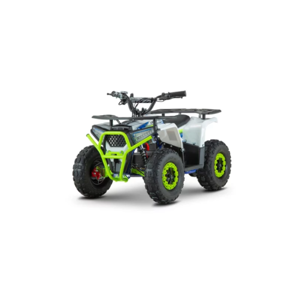 ATV electric de adulti RDB-FFA1000 1000W 48V 12Ah