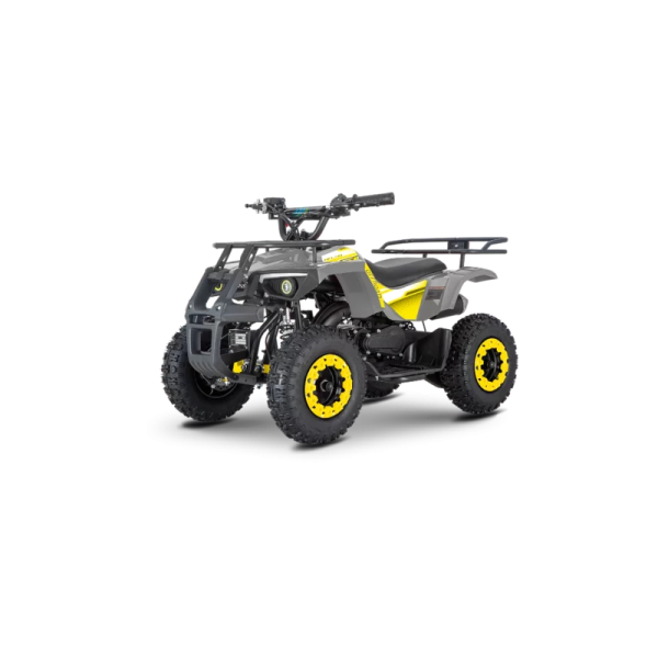 ATV de copii RDB-AFL49 49cc 2 Timpi