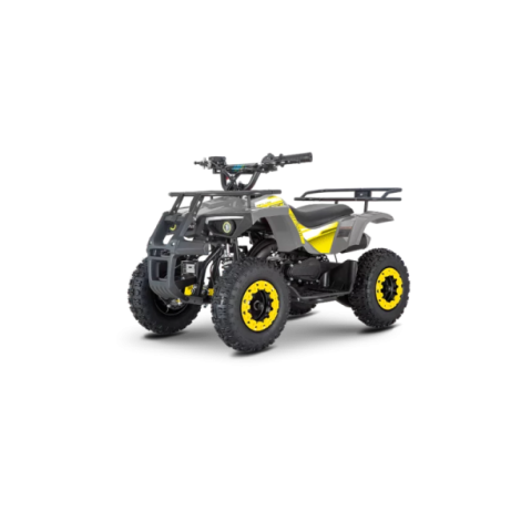 ATV de copii RDB-AFL49 49cc 2 Timpi