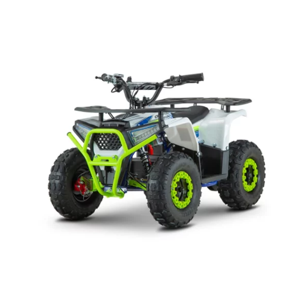 ATV electric de adulti RDB-FFA1000 1000W 48V 12Ah