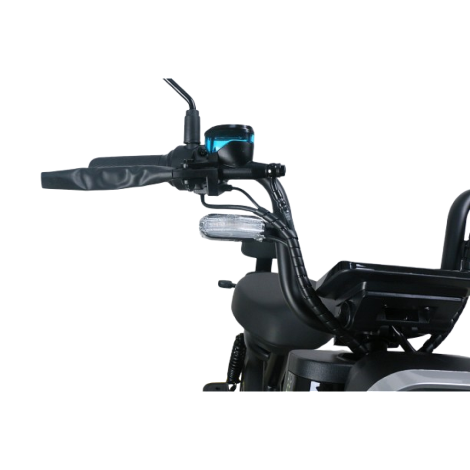 Scuter Electric RDB ROMA, 600W, fara permis, 25km/h, negru