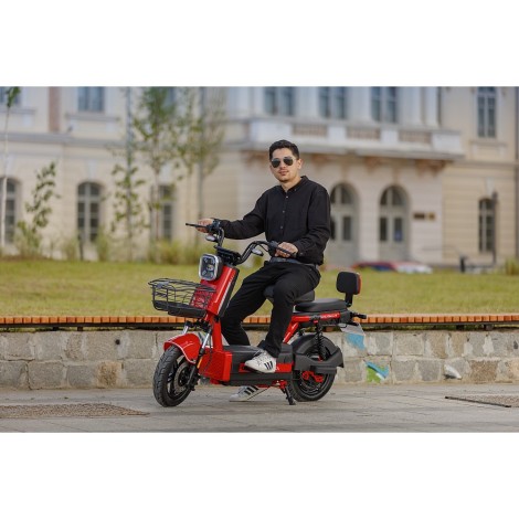 Scuter Electric RDB ROMA, 600W, fara permis, 25km/h, negru